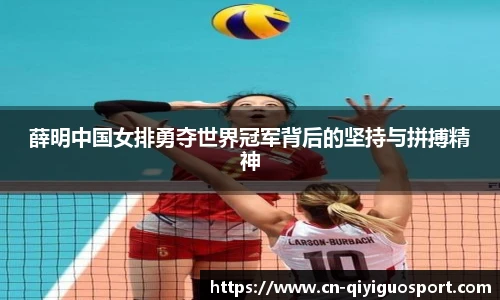 奇异果体育平台