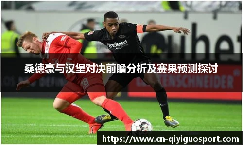 桑德豪与汉堡对决前瞻分析及赛果预测探讨